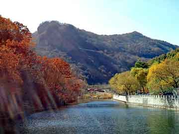 大三巴一肖二码最准，攀岩板